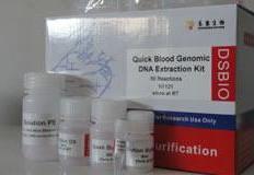 Pfu DNA高保真聚合酶图片