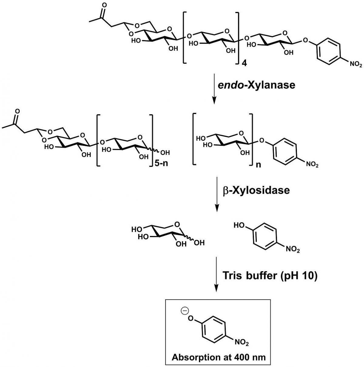 内切木聚糖酶测定试剂?xylx6?图片