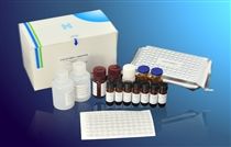 甲砜霉素检测试剂盒图片