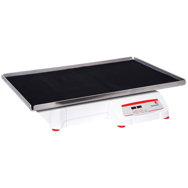 SHHD6850DG大负载圆周式摇床图片