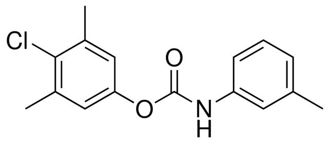 4-CHLORO-3,5-DIMETHYLPHENYL N-(M-TOLYL)CARBAMATE