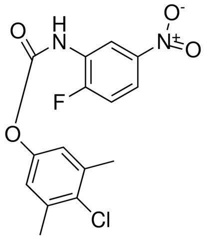 4-CHLORO-3,5-DIMETHYL N-(2-FLUORO-5-NITROPHENYL)CARBAMATE