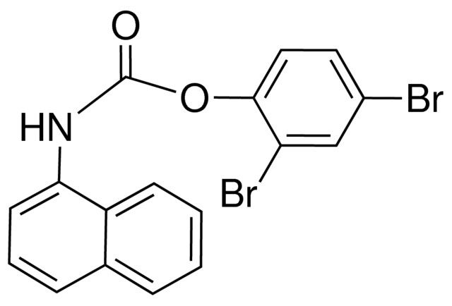 2,4-DIBROMOPHENYL N-(1-NAPHTHYL)CARBAMATE