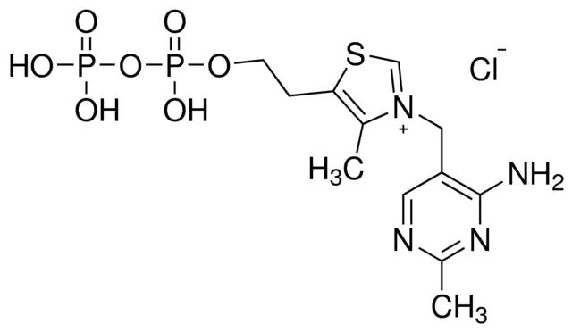 Thiamine pyrophosphate