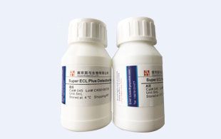 Super ECL Plus超敏发光液图�?><img src=