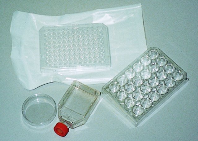 CollagenPRO COAT? cultureware图片