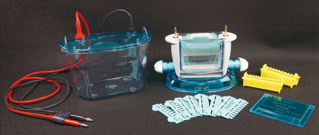 DYCZ-24K型双板垂直电泳仪图片