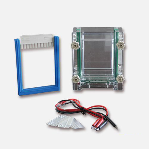 DYCZ-28C型单板夹芯式垂直电泳�?小号)图片