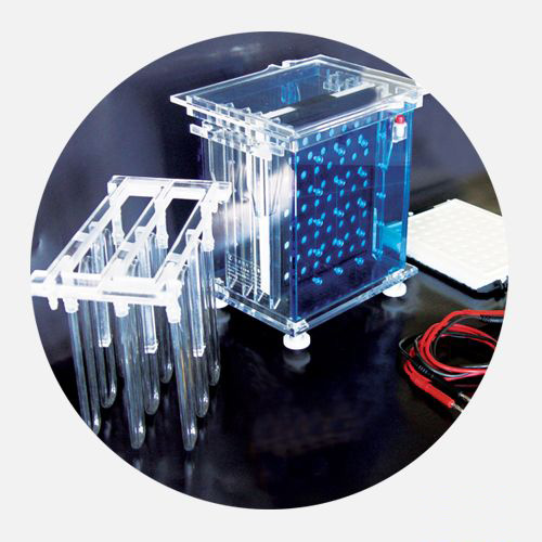 DYCZ-40A型转印电泳仪(大号)图片