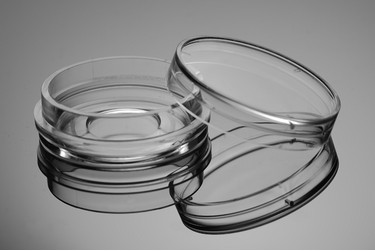 玻底培养皿图�?></a></div> <span style=