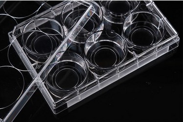 玻底培养板图?></a></div> <span style=