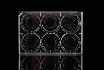 共聚焦玻底培养板图片