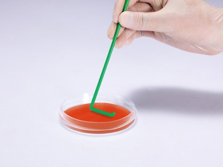 L型细胞接种推�?聚丙�?10个每�?灭菌, CSP012014图片