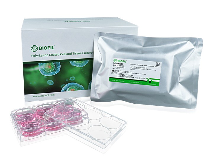 多聚-D-赖氨酸包被培养皿, 60mm,灭菌, TCDO40060图片